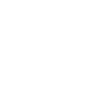 Zamna Festival