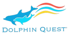 Dolphin Quest