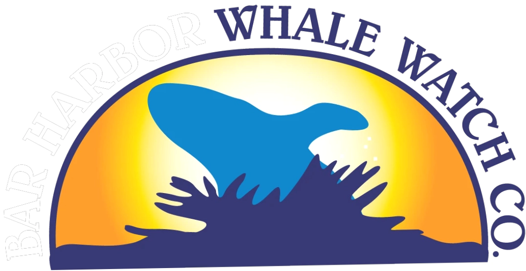 Barharborwhales