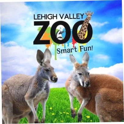 Lv Zoo