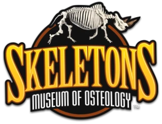 Skeleton Museum