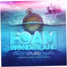 Foam Wonderland