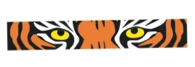 Catty Shack Ranch