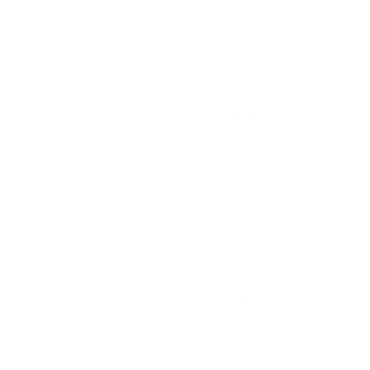 Company XIV