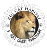 Big Cat Habitat