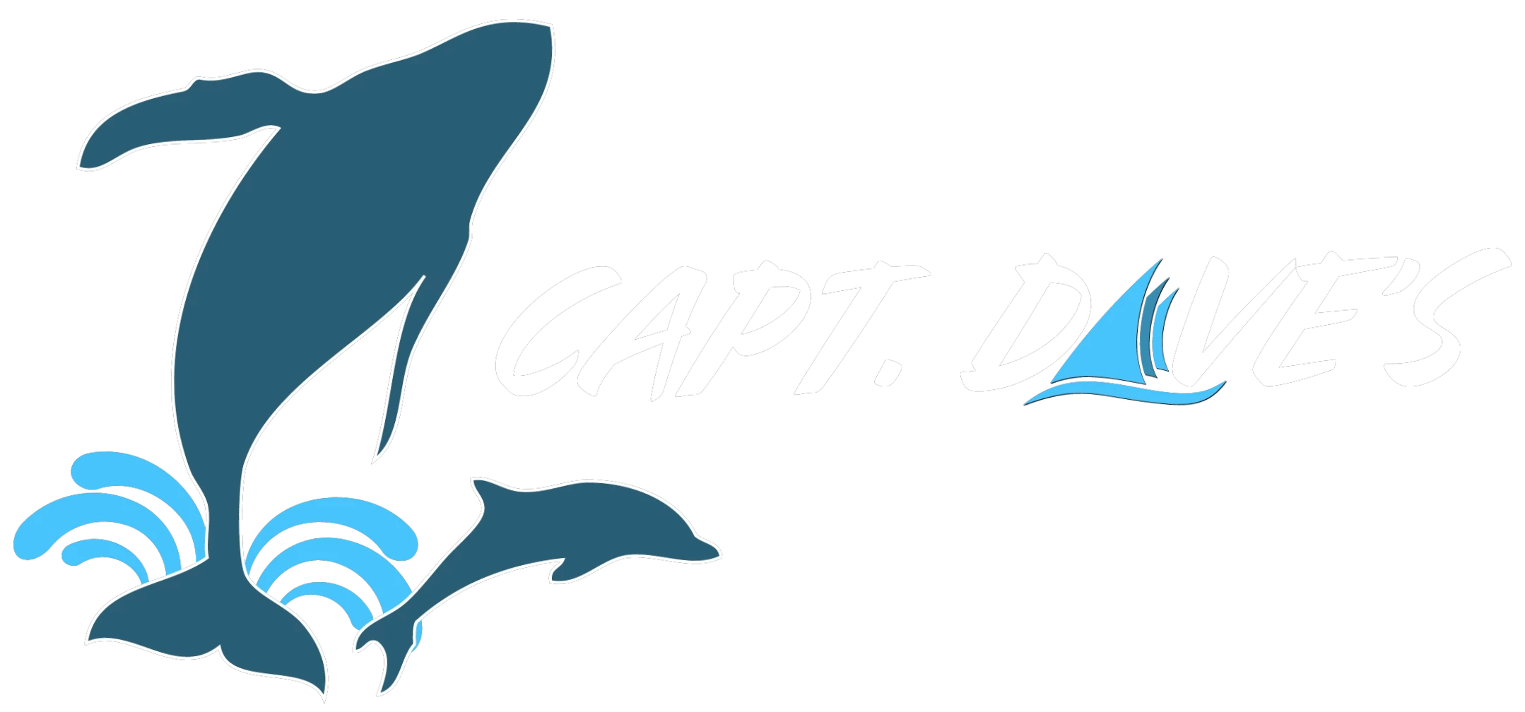 Dolphin Safari