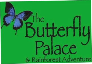 The Butterfly Palace