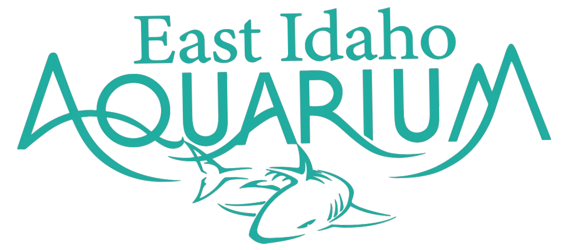 East Idaho Aquarium