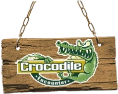 Crocodile Encounter