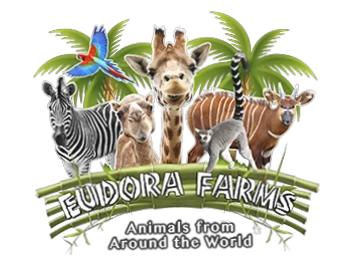 Eudora Farms