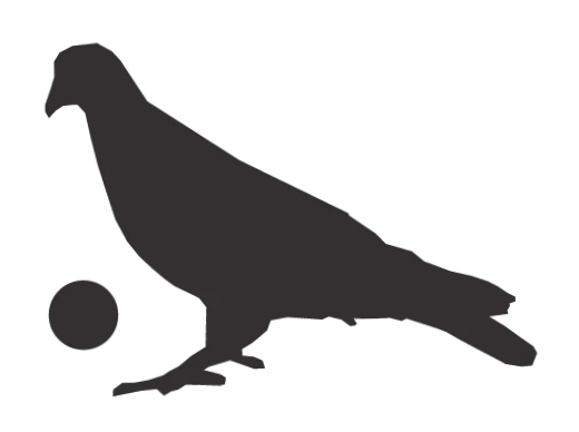 Pigeons Playing Ping Pong