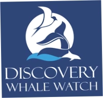Discovery Whale Watch