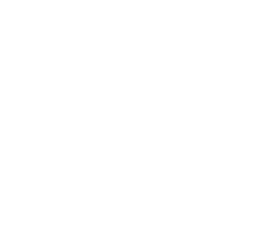 Swift Creek Mill