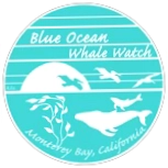 Blue Ocean Whale Watch