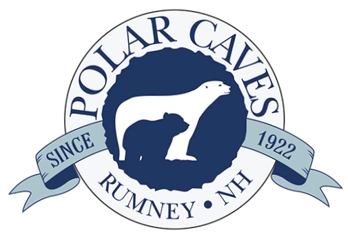 Polar Caves