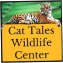 CAT TALES