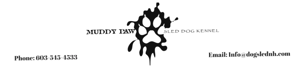 Dog Sled NH