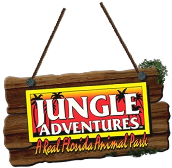 Jungle Adventures