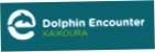 Dolphin Encounter