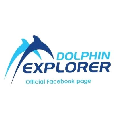 Dolphin Explorer