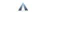 Arlington Institute