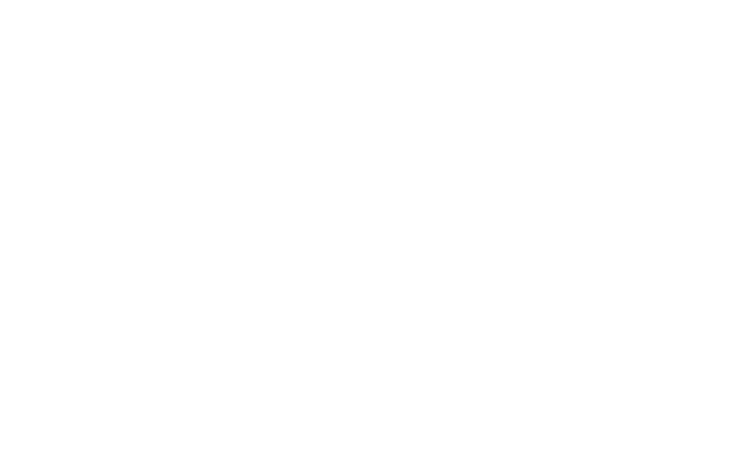 Birds Basement