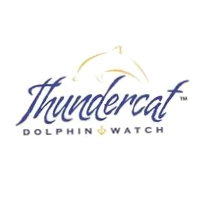 Thundercat Dolphin Watch