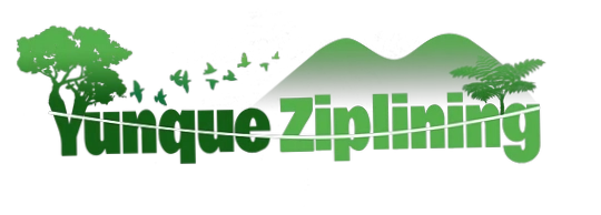 Yunque Zipline