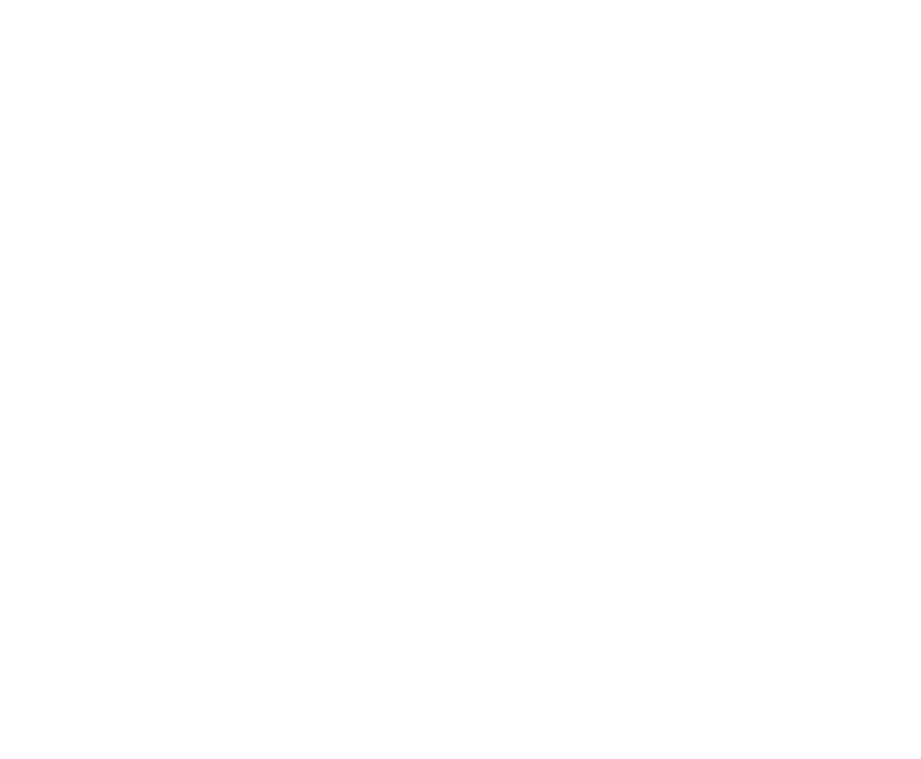 Big Dub Festival