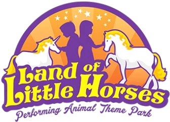 Land of Little Horses