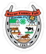 Wayne County Fair