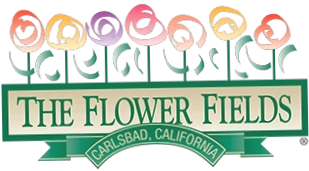 The Flower Fields