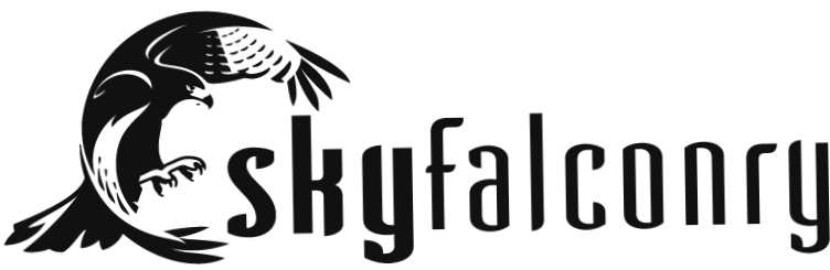 Sky Falconry
