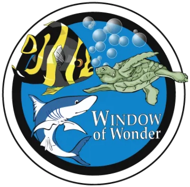 Key West Aquarium