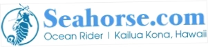 Seahorse.com