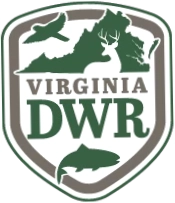 DWR