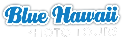 Blue Hawaii Photo Tours