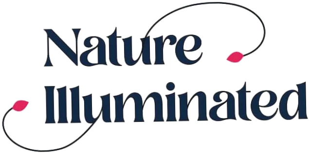 Nature Illuminated