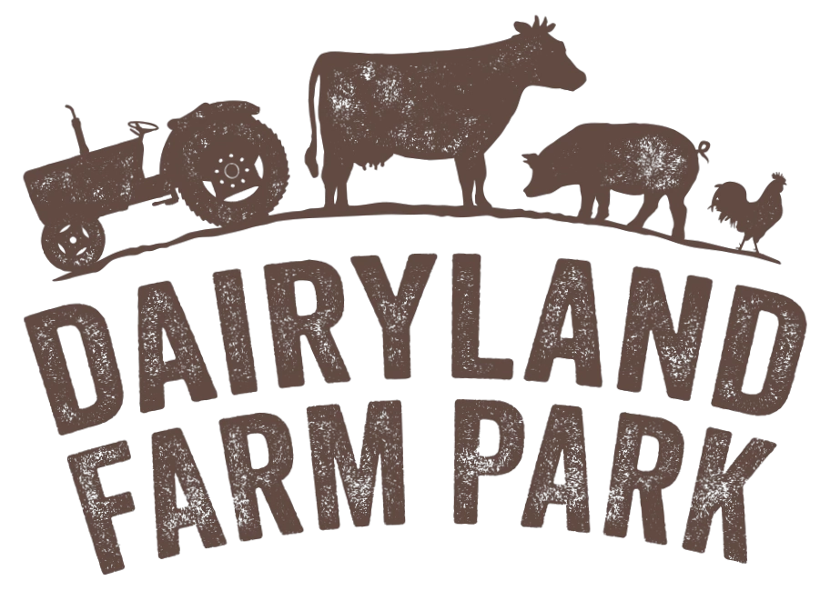 Dairyland Farm Park