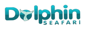 Dolphin Seafari