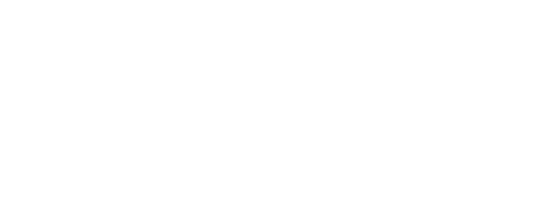 Blue Finn Charters