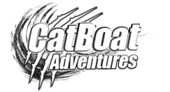 Cat Boat Tours