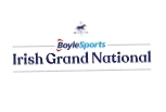Fairyhouse Horse