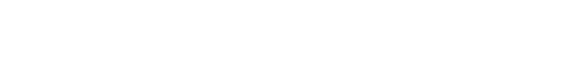 Enigmatist