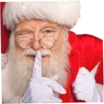 Santa'S Vip