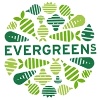 Evergreens