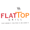 Flat Top Grill