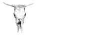 The Ox Bristol