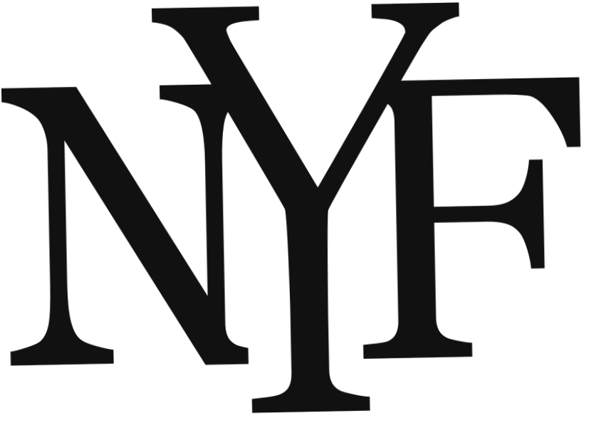 new york fries