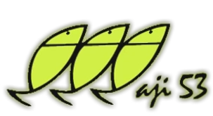 Aji 53